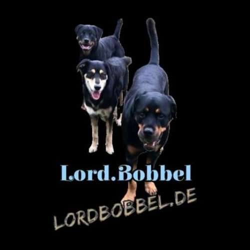Hundeauslaufgebiet-Lord.Bobbel-Bild
