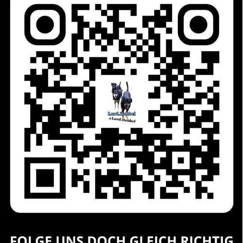 Hundeauslaufgebiet-Lord.Bobbel-Bild