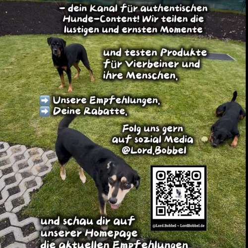 Hundeauslaufgebiet-Lord.Bobbel-Bild