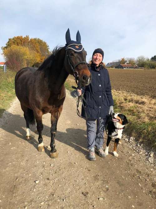 Hundeauslaufgebiet-Sechster Sinn - Coaching Mensch Hund-Bild