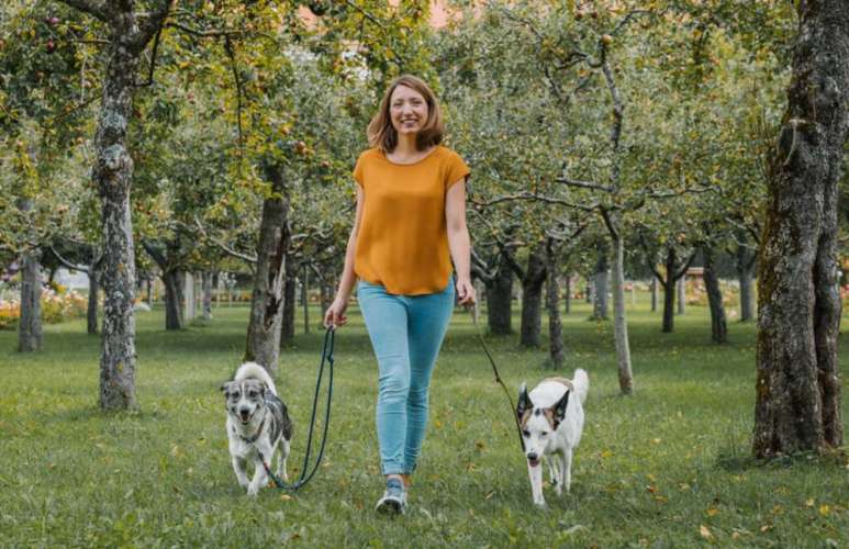 Hundeauslaufgebiet-Sechster Sinn - Coaching Mensch Hund-Bild