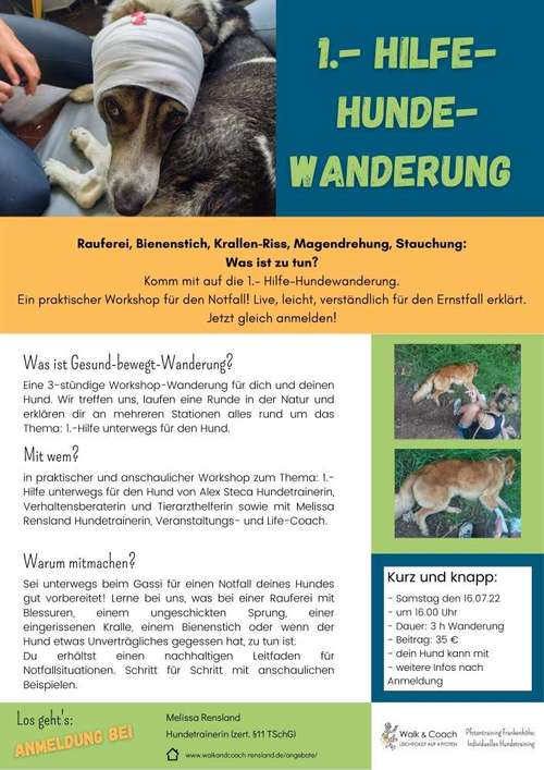 Hundeauslaufgebiet-Sechster Sinn - Coaching Mensch Hund-Bild