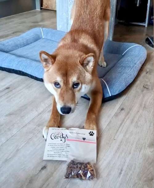 Hundeauslaufgebiet-Good Goodys by Mr. O-Bild