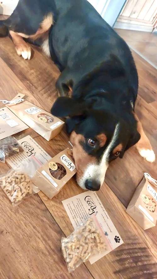 Hundeauslaufgebiet-Good Goodys by Mr. O-Bild