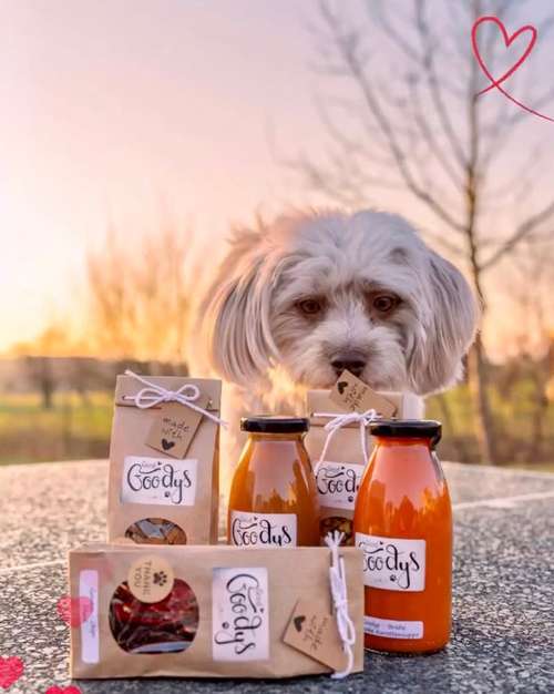 Hundeauslaufgebiet-Good Goodys by Mr. O-Bild