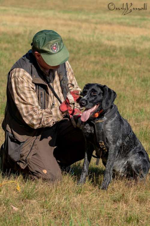 Hundeauslaufgebiet-Jagdhundeführerausbildung Michael Knuppertz-Bild