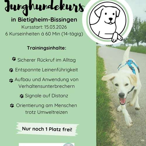 Hundeauslaufgebiet-DaniCanis Hundetraining-Bild