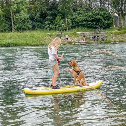 Hundeauslaufgebiet-SwissDogSchool.ch-Bild