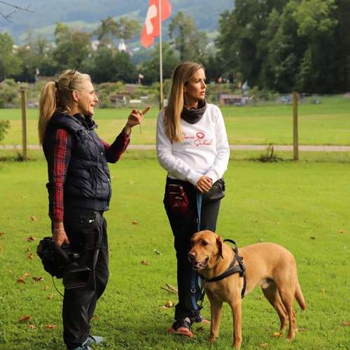 Hundeauslaufgebiet-SwissDogSchool.ch-Bild