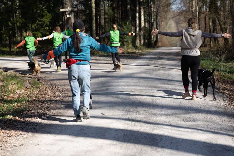 Hundeauslaufgebiet-Gesund mit Hund Yvonne Häussler-Bild