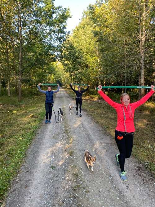 Hundeauslaufgebiet-Gesund mit Hund Yvonne Häussler-Bild