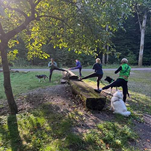 Hundeauslaufgebiet-Gesund mit Hund Yvonne Häussler-Bild
