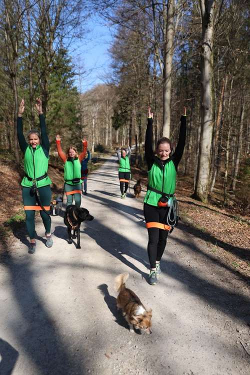Hundeauslaufgebiet-Gesund mit Hund Yvonne Häussler-Bild