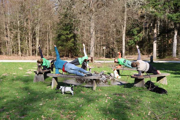 Hundeauslaufgebiet-Gesund mit Hund Yvonne Häussler-Bild