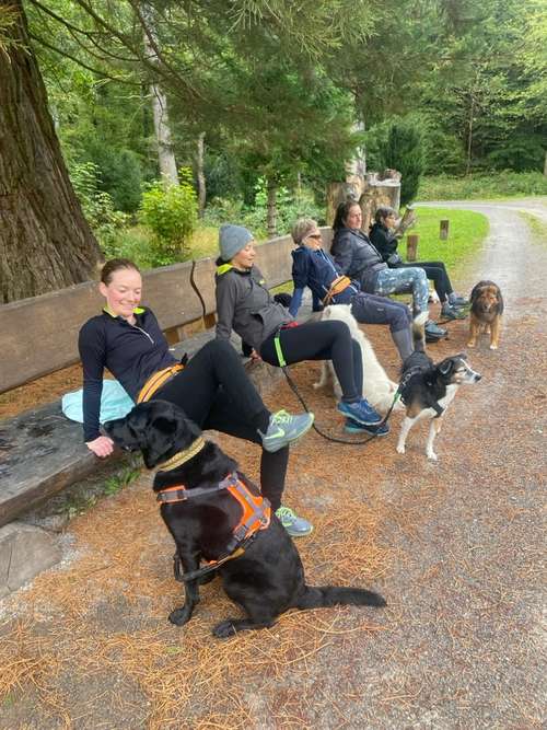 Hundeauslaufgebiet-Gesund mit Hund Yvonne Häussler-Bild