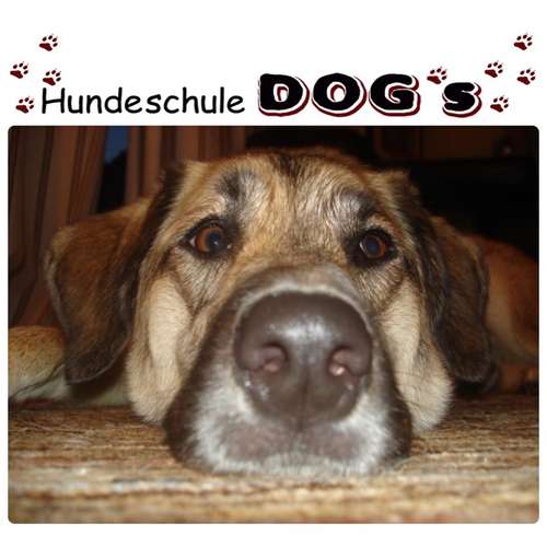 Hundeauslaufgebiet-Hundeschule DOG'S-Bild