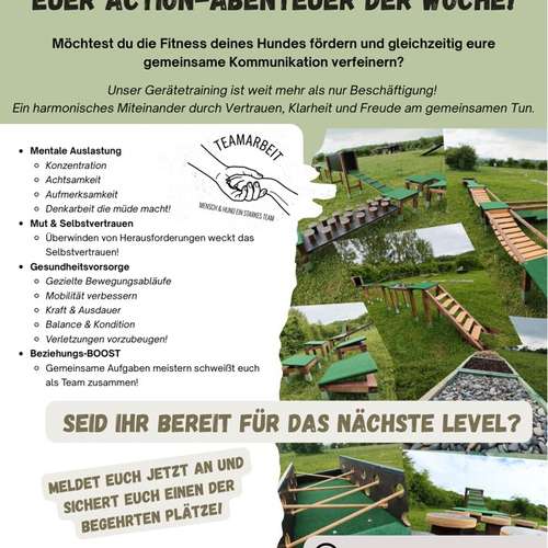 Hundeauslaufgebiet-Hundeschule DOG'S-Bild
