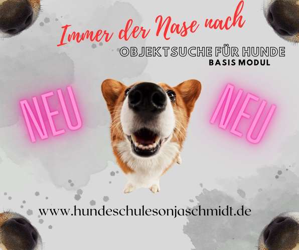 Hundeauslaufgebiet-Hundeschule Sonja Schmidt-Bild