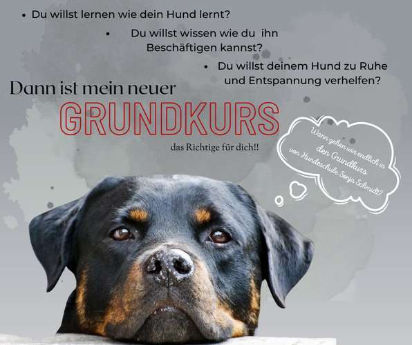 Hundeauslaufgebiet-Hundeschule Sonja Schmidt-Bild