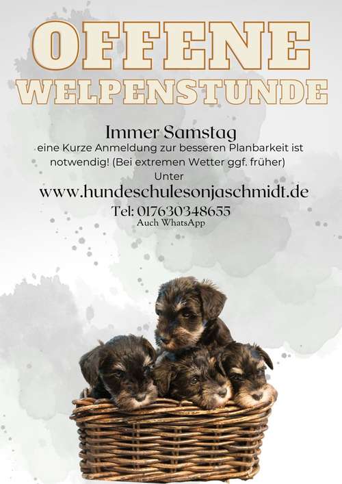 Hundeauslaufgebiet-Hundeschule Sonja Schmidt-Bild