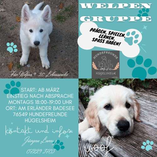 Hundeauslaufgebiet-Hundefreunde Hügelsheim , Gruppe in der LG  Baden IRJGV/IDG e.V.-Bild