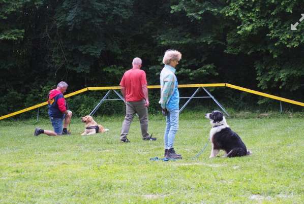 Hundeauslaufgebiet-Hundefreunde Hügelsheim , Gruppe in der LG  Baden IRJGV/IDG e.V.-Bild