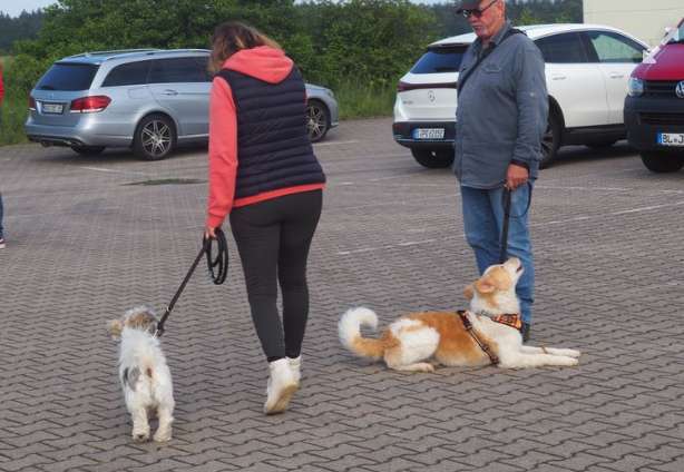 Hundeauslaufgebiet-Hundefreunde Hügelsheim , Gruppe in der LG  Baden IRJGV/IDG e.V.-Bild