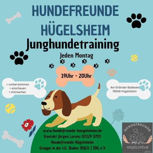 Hundeauslaufgebiet-Hundefreunde Hügelsheim , Gruppe in der LG  Baden IRJGV/IDG e.V.-Bild