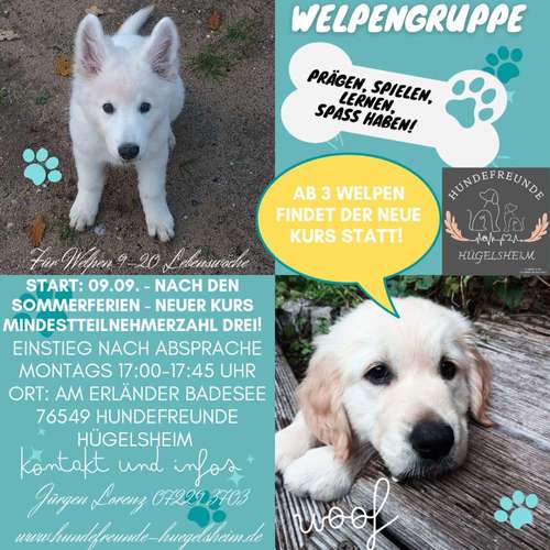 Hundeauslaufgebiet-Hundefreunde Hügelsheim , Gruppe in der LG  Baden IRJGV/IDG e.V.-Bild