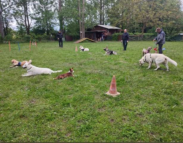 Hundeauslaufgebiet-Hundefreunde Hügelsheim , Gruppe in der LG  Baden IRJGV/IDG e.V.-Bild