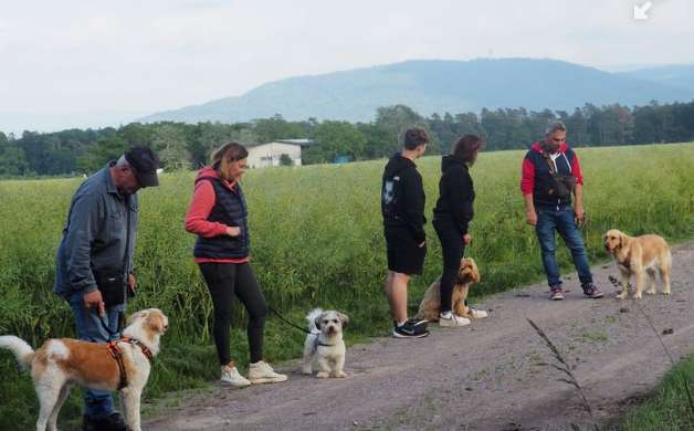 Hundeauslaufgebiet-Hundefreunde Hügelsheim , Gruppe in der LG  Baden IRJGV/IDG e.V.-Bild