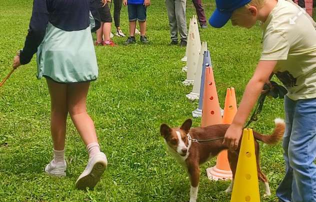 Hundeauslaufgebiet-Hundefreunde Hügelsheim , Gruppe in der LG  Baden IRJGV/IDG e.V.-Bild