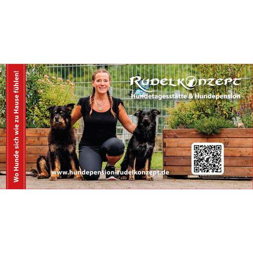 Hundeauslaufgebiet-Rudelkonzept - Hundetagesstätte & Hundepension-Bild