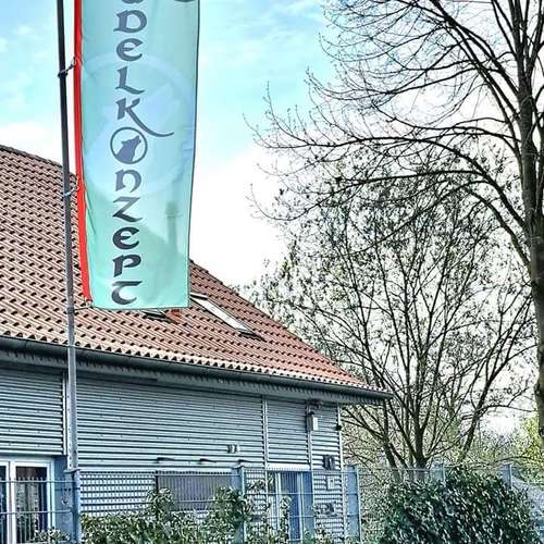Hundeauslaufgebiet-Rudelkonzept - Hundetagesstätte & Hundepension-Bild