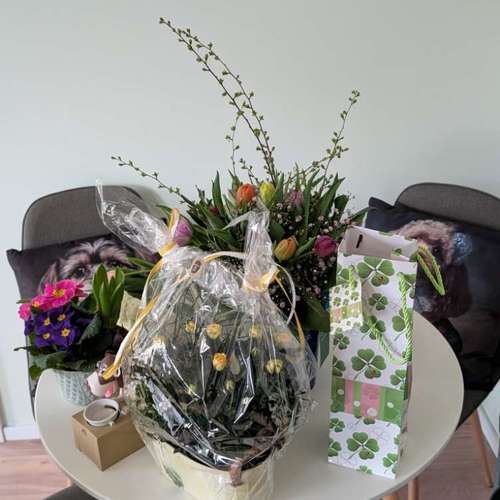 Hundeauslaufgebiet-HUNDEFRISEUR CURLY CLUB WELLNESS & MEHR-Bild