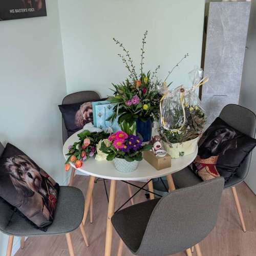 Hundeauslaufgebiet-HUNDEFRISEUR CURLY CLUB WELLNESS & MEHR-Bild