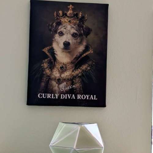 Hundeauslaufgebiet-HUNDEFRISEUR CURLY CLUB WELLNESS & MEHR-Bild