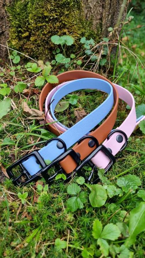 Hundeauslaufgebiet-ParaLua-Bild