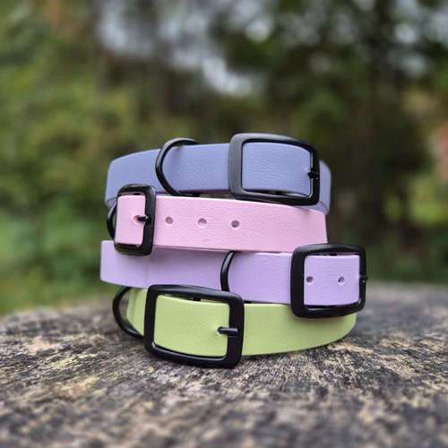 Hundeauslaufgebiet-ParaLua-Bild