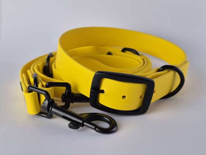 Hundeauslaufgebiet-ParaLua-Bild