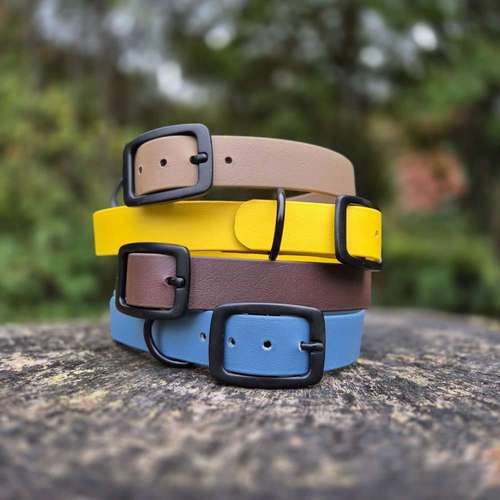 Hundeauslaufgebiet-ParaLua-Bild