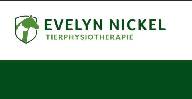 Hundeauslaufgebiet-Evelyn Nickel -Tierphysiotherapie -Bild