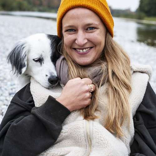 Hundeauslaufgebiet-Der heraufschauende Hund-Bild