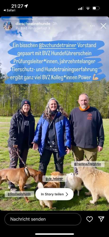 Hundeauslaufgebiet-Chaoten auf 4 Pfoten-Bild