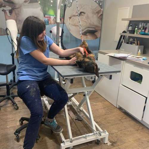 Hundeauslaufgebiet-Tiersalon fellfein-Bild