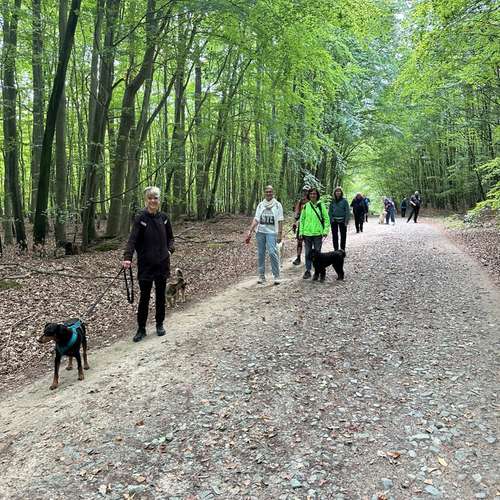 Hundeauslaufgebiet-Westphals Insel Crew-Bild