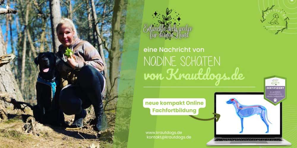 Hundeauslaufgebiet-Krautdogs.de "Online Hundegesundheit & Academy"-Bild