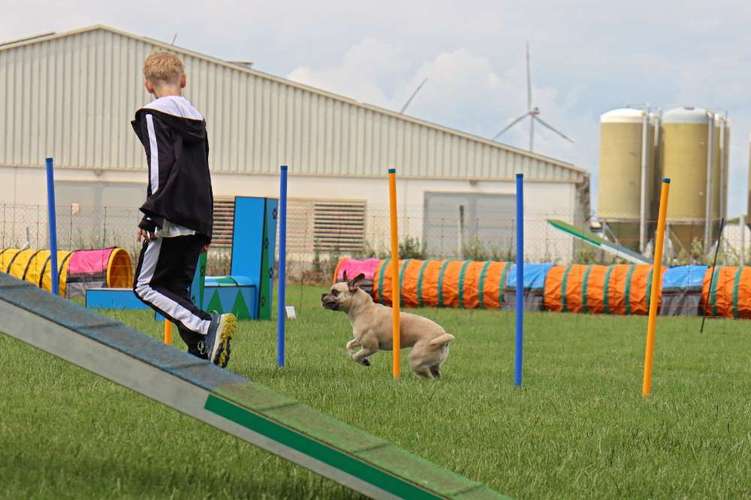 Hundeauslaufgebiet-Hundeschule Rosental - Schwerpunkt Agility-Bild