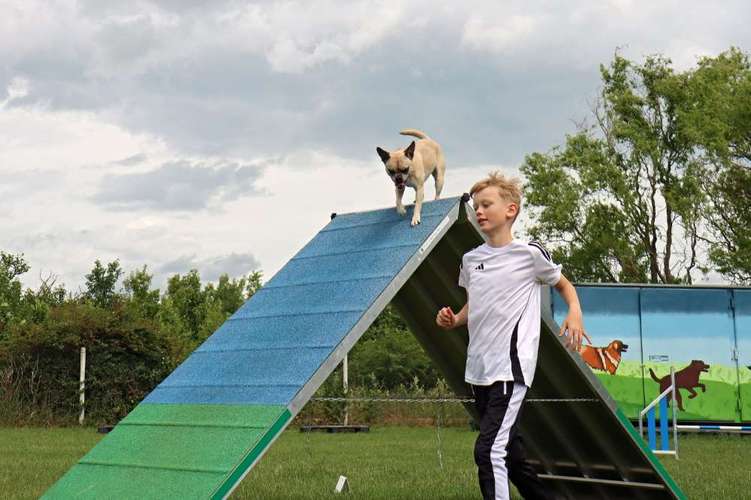 Hundeauslaufgebiet-Hundeschule Rosental - Schwerpunkt Agility-Bild