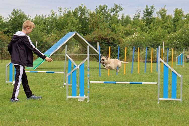 Hundeauslaufgebiet-Hundeschule Rosental - Schwerpunkt Agility-Bild